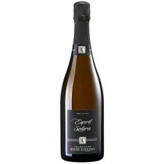 Champagne Binon Coquard - ESPRIT SOLERA - Blanc de noirs 75 cl